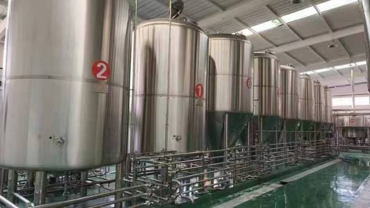 南圣镇日产10吨精酿啤酒设备多少钱?2026年全套报价帮你算明白